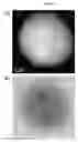 Fig. 72 - Solid metal alloy