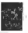 Fig. 02 - CORRODIBLE DOWNHOLE ARTICLE