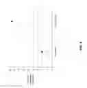 Fig. 09 - Thin glass based article with high resistance to contact damage
