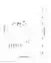 Fig. 09 - Scratch-resistant materials and articles including the same