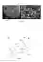 Fig. 07 - NANOFIBER-COATED FIBER AND METHODS OF MAKING