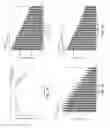 Fig. 19 - Flow-induced noise source contribution