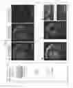 Fig. 03 - BIOLOGICAL-SPECIMEN TRANSPARENTIZING AGENT, SYSTEM, AND USE THEREFOR