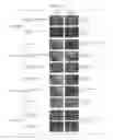Fig. 13 - BIOLOGICAL-SPECIMEN TRANSPARENTIZING AGENT, SYSTEM, AND USE THEREFOR