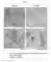 Fig. 14 - BIOLOGICAL-SPECIMEN TRANSPARENTIZING AGENT, SYSTEM, AND USE THEREFOR