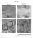 Fig. 15 - BIOLOGICAL-SPECIMEN TRANSPARENTIZING AGENT, SYSTEM, AND USE THEREFOR
