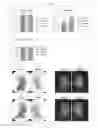 Fig. 20 - BIOLOGICAL-SPECIMEN TRANSPARENTIZING AGENT, SYSTEM, AND USE THEREFOR