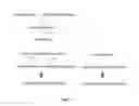 Fig. 04 - Method for determining the distinctive nutritional requirements of a patient