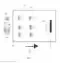 Fig. 04 - System with liquid and solid media for target binding