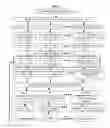 Fig. 03 - Graphical processing unit (GPU) implementation of magnetic resonance fingerprinting (MRF)