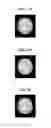 Fig. 06 - GPU based implementation of SENSE (a parallel MRI algorithm) using QR decomposition