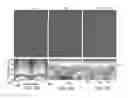 Fig. 06 - METHODS AND DATA PROCESSING APPARATUS FOR SEISMIC SIGNAL SEPARATION