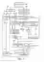 Fig. 07 - Optimized anatomical structure of interest labelling