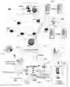 Fig. 01 - Method and apparatus for managing multiple media services