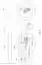 Fig. 19 - Indirect electronic badge tracking