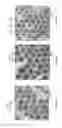 Fig. 06 - Methods for Buffered Coating of Nanostructures