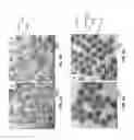 Fig. 07 - Methods for Buffered Coating of Nanostructures