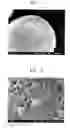 Fig. 02 - OLIVINE TYPE POSITIVE ELECTRODE ACTIVE MATERIAL FOR LITHIUM SECONDARY BATTERY, METHOD FOR PREPARING SAME, AND LITHIUM SECONDARY BATTERY COMPRISING SAME