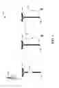 Fig. 02 - Backhaul link for distributed antenna system