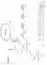 Fig. 17 - Apparatus and methods for cellular network communication based on plural mobile cores