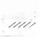 Fig. 01 - Flexible display device and electronic device