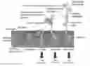 Fig. 01 - CONTINUOUS ULTRASONIC TREATMENT OF SEEDS