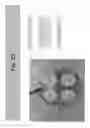 Fig. 29 - CONTINUOUS ULTRASONIC TREATMENT OF SEEDS