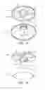 Fig. 05 - LIQUID BIRD FEEDER