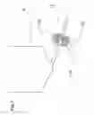 Fig. 08 - Machine for brewing tea
