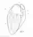 Fig. 02 - Devices and methods for excluding the left atrial appendage