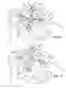 Fig. 07 - VERTEBRAL SCAFFOLD FOR SUPPORTING A REAR OF A SPINAL COLUMN ALONG OPPOSITE EXTENDING ROWS OF LATERAL PROCESSES