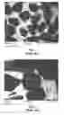 Fig. 02 - Dental instrument