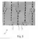 Fig. 04 - ABSORBENT ARTICLES COMPRISING GARMENT-FACING LAMINATES