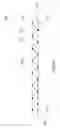 Fig. 53 - ABSORBENT ARTICLES COMPRISING GARMENT-FACING LAMINATES
