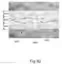 Fig. 67 - ABSORBENT ARTICLES COMPRISING GARMENT-FACING LAMINATES