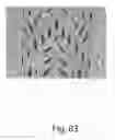 Fig. 68 - ABSORBENT ARTICLES COMPRISING GARMENT-FACING LAMINATES
