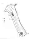 Fig. 08 - External ear canal pressure regulation system