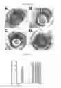 Fig. 03 - Methods for inducing an immune response via buccal and/or sublingual administration of a vaccine