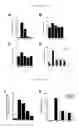 Fig. 07 - Methods for inducing an immune response via buccal and/or sublingual administration of a vaccine