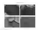 Fig. 11 - Methods for inducing an immune response via buccal and/or sublingual administration of a vaccine