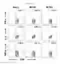 Fig. 12 - Methods for inducing an immune response via buccal and/or sublingual administration of a vaccine