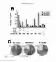 Fig. 13 - Methods for inducing an immune response via buccal and/or sublingual administration of a vaccine
