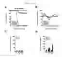 Fig. 14 - Methods for inducing an immune response via buccal and/or sublingual administration of a vaccine