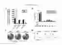 Fig. 16 - Methods for inducing an immune response via buccal and/or sublingual administration of a vaccine