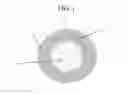 Fig. 02 - Pharmaceutical compositions for colon-specific delivery