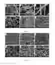 Fig. 02 - NANOENCAPSULATED COMPOSITIONS