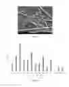 Fig. 05 - NANOENCAPSULATED COMPOSITIONS