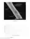 Fig. 07 - NANOENCAPSULATED COMPOSITIONS