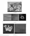 Fig. 10 - NANOENCAPSULATED COMPOSITIONS