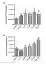Fig. 01 - Methods for immunomodulation of cancer and infectious disease therapy